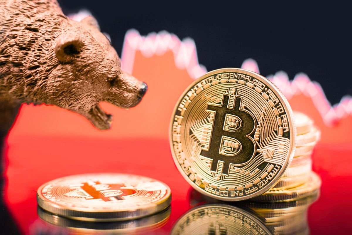 Altcoins crash while Bitcoin stumbles: the cryptos to watch right now